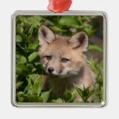 最も可愛い赤ん坊の動物 |キツネキット メタルオーナメント (正面)