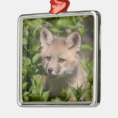 最も可愛い赤ん坊の動物 |キツネキット メタルオーナメント (左)