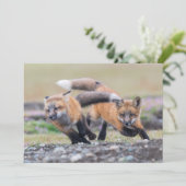 最も可愛い赤ん坊の動物 |キツネパッ遊プ サンキューカード (スタンド正面)