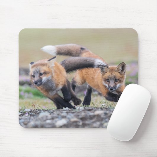 最も可愛い赤ん坊の動物 |キツネパッ遊プ マウスパッド (マウス)