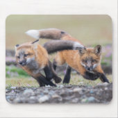 最も可愛い赤ん坊の動物 |キツネパッ遊プ マウスパッド (正面)