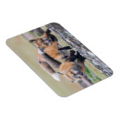 最も可愛い赤ん坊の動物 |キツネパッ遊プ マグネット (右側)