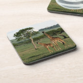 最も可愛い赤ん坊の動物 |キリン・カーフ&ママ コースター (左側)