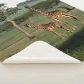 最も可愛い赤ん坊の動物 |キリン・カーフ&ママ シェルパブランケット (3/4)