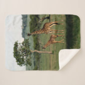 最も可愛い赤ん坊の動物 |キリン・カーフ&ママ シェルパブランケット (正面(横))