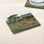 最も可愛い赤ん坊の動物 |キリン・カーフ&ママ スクエアペーパーコースター (アングル)