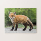 最も可愛い赤ん坊の動物 |クテイキツネ ジグソーパズル (横)