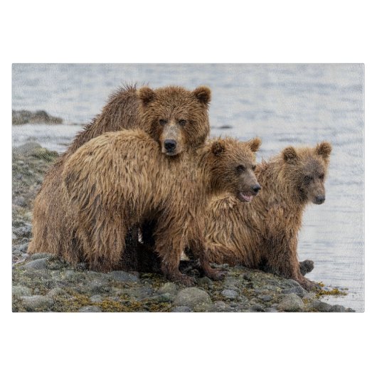 最も可愛い赤ん坊の動物 |クマとカブ カッティングボード (正面)