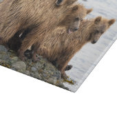 最も可愛い赤ん坊の動物 |クマとカブ カッティングボード (角)