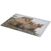 最も可愛い赤ん坊の動物 |クマとカブ カッティングボード (角)