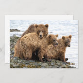 最も可愛い赤ん坊の動物 |クマとカブ サンキューカード (正面/裏面)