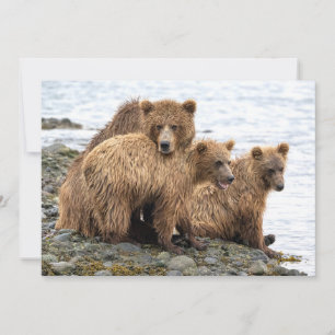 最も可愛い赤ん坊の動物 クマとカブ サンキューカード