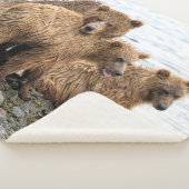 最も可愛い赤ん坊の動物 |クマとカブ シェルパブランケット (3/4)