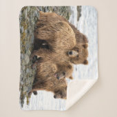 最も可愛い赤ん坊の動物 |クマとカブ シェルパブランケット (正面)