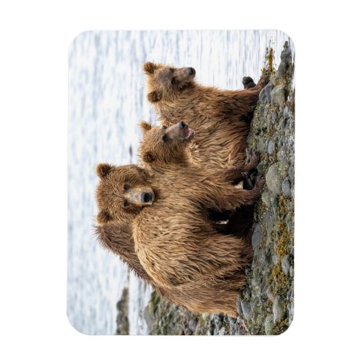 最も可愛い赤ん坊の動物 |クマとカブ マグネット (縦)