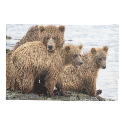 最も可愛い赤ん坊の動物 |クマとカブ 枕カバー (裏面)