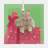 最も可愛い赤ん坊の動物 |クリスマス・ホリデー・バニー ガラスオーナメント (正面)