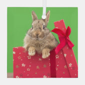 最も可愛い赤ん坊の動物 |クリスマス・ホリデー・バニー ガラスオーナメント (裏面)