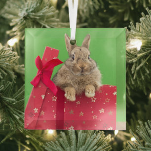 最も可愛い赤ん坊の動物 クリスマス・ホリデー・バニー ガラスオーナメント