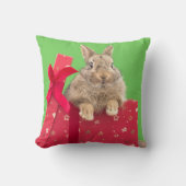 最も可愛い赤ん坊の動物 |クリスマス・ホリデー・バニー クッション (正面)