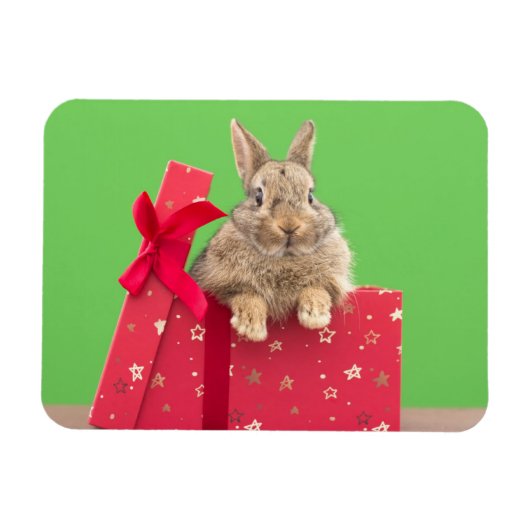 最も可愛い赤ん坊の動物 |クリスマス・ホリデー・バニー マグネット (横)