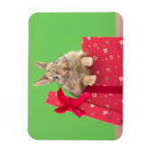 最も可愛い赤ん坊の動物 |クリスマス・ホリデー・バニー マグネット (縦)