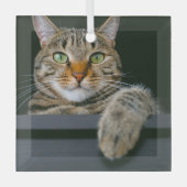 最も可愛い赤ん坊の動物 |グレータブビーキャット顔 ガラスオーナメント (正面)