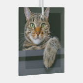 最も可愛い赤ん坊の動物 |グレータブビーキャット顔 ガラスオーナメント (正面右)