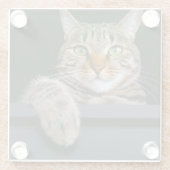 最も可愛い赤ん坊の動物 |グレータブビーキャット顔 ガラスコースター (裏面)