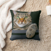 最も可愛い赤ん坊の動物 |グレータブビーキャット顔 クッション (ブランケット)
