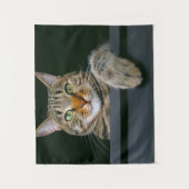 最も可愛い赤ん坊の動物 |グレータブビーキャット顔 タペストリー (正面)