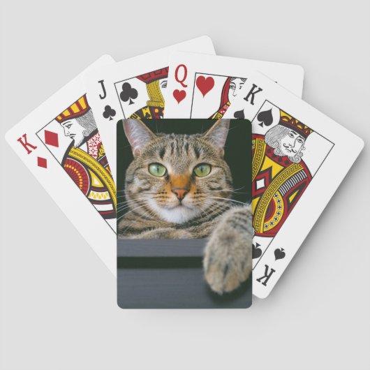 最も可愛い赤ん坊の動物 |グレータブビーキャット顔 トランプ (裏面)