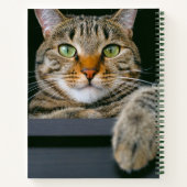 最も可愛い赤ん坊の動物 |グレータブビーキャット顔 ノートブック (裏面)