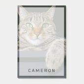 最も可愛い赤ん坊の動物 |グレータブビーキャット顔 ポストイット (正面)