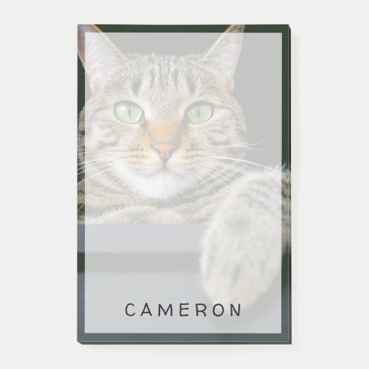 最も可愛い赤ん坊の動物 |グレータブビーキャット顔 ポストイット (正面)