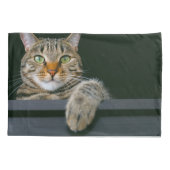 最も可愛い赤ん坊の動物 |グレータブビーキャット顔 枕カバー (裏面)