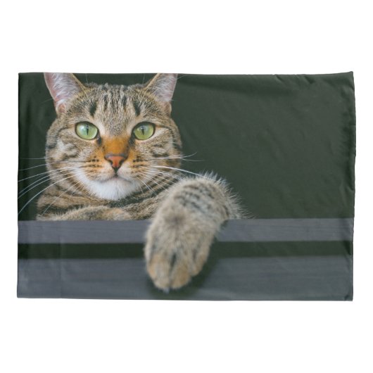 最も可愛い赤ん坊の動物 |グレータブビーキャット顔 枕カバー (裏面)