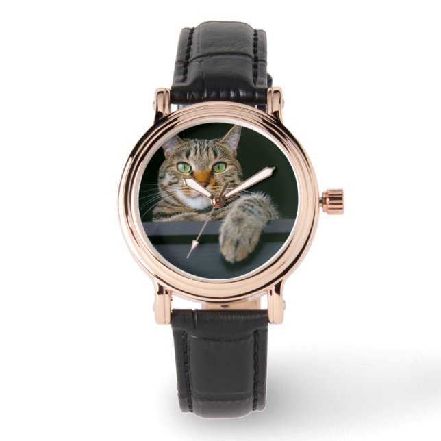 最も可愛い赤ん坊の動物 |グレータブビーキャット顔 腕時計 (正面)