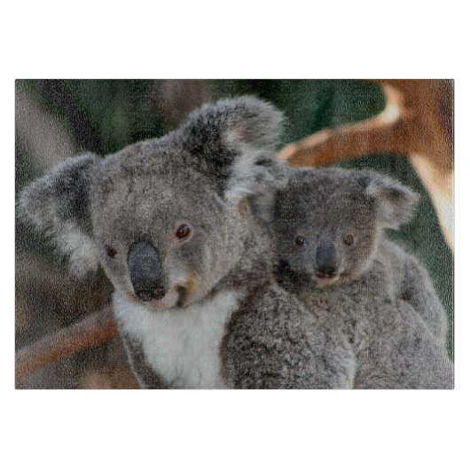 最も可愛い赤ん坊の動物 |コアラとジョーイ カッティングボード (正面)