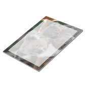 最も可愛い赤ん坊の動物 |コアラとジョーイ ノートパッド (アングル)