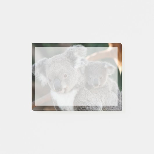 最も可愛い赤ん坊の動物 |コアラとジョーイ ポストイット (正面)