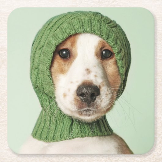 最も可愛い赤ん坊の動物 |コッカースパニエル犬子犬 スクエアペーパーコースター (正面)