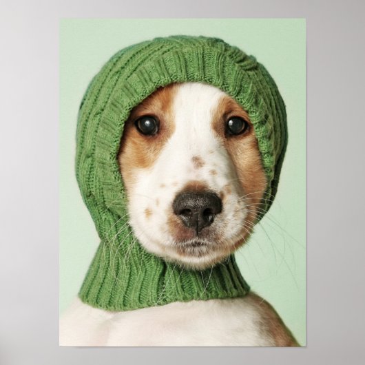 最も可愛い赤ん坊の動物 |コッカースパニエル犬子犬 ポスター (正面)