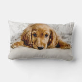 最も可愛い赤ん坊の動物 |コッカースパニエル犬子犬 ランバークッション (裏面)