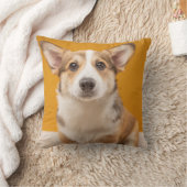 最も可愛い赤ん坊の動物 |コルギポートレートオンオレンジ クッション (ブランケット)