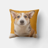 最も可愛い赤ん坊の動物 |コルギポートレートオンオレンジ クッション (裏面)