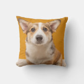 最も可愛い赤ん坊の動物 |コルギポートレートオンオレンジ クッション (正面)