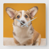 最も可愛い赤ん坊の動物 |コルギポートレートオンオレンジ スクエア壁時計 (正面)