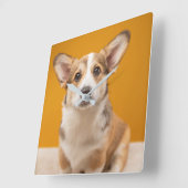 最も可愛い赤ん坊の動物 |コルギポートレートオンオレンジ スクエア壁時計 (傾斜)