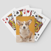 最も可愛い赤ん坊の動物 |コルギポートレートオンオレンジ トランプ (裏面)